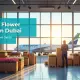 Dubai Flower Centre Business Setup Guide 2025